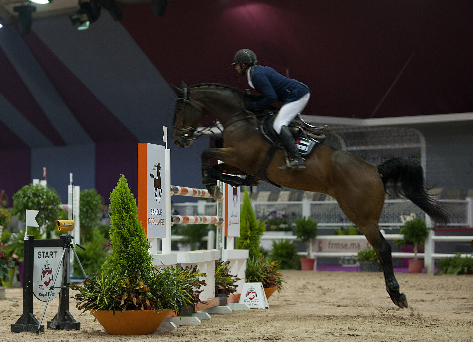 Salon du Cheval d’El Jadida